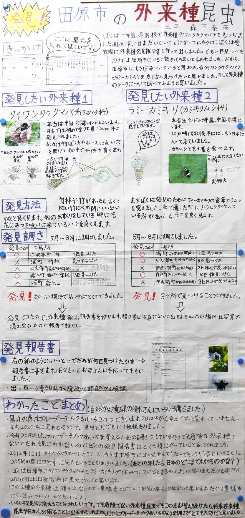 ぼくが見つけた外来種昆虫