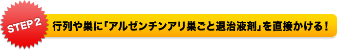 Step 2 行列や巣に「アルゼンチンアリ巣ごと退治液剤」を直接かける！