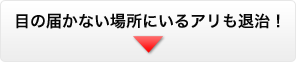 目の届かない場所にいるアリも退治！