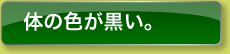 体の色が黒い。