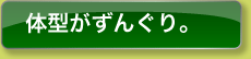 体型がずんぐり。