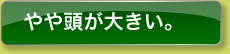 やや頭が大きい。