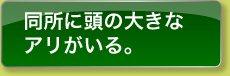 同所に頭の大きなアリがいる。
