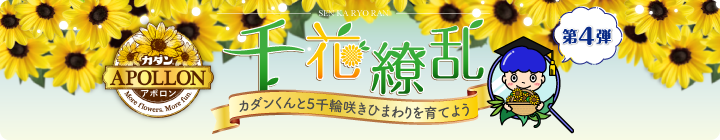 カダン アポロン 千花繚乱キャンペーン 第4弾