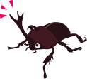 カブトムシには、なぜ角があるの?