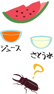 クワガタとエサの勝ちぬきせん