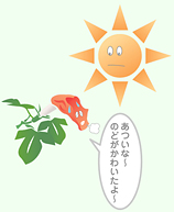 あついな〜のどがかわいたよ〜