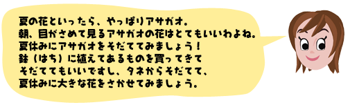 じゅん先生のアドバイス