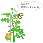 支柱のたてかた