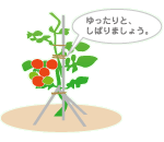 芯どめのしかた