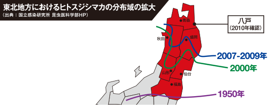 フマキラー 感染症媒介害虫について