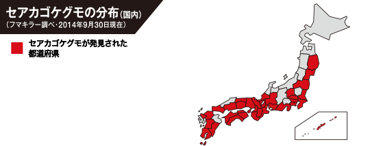 フマキラー 感染症媒介害虫について