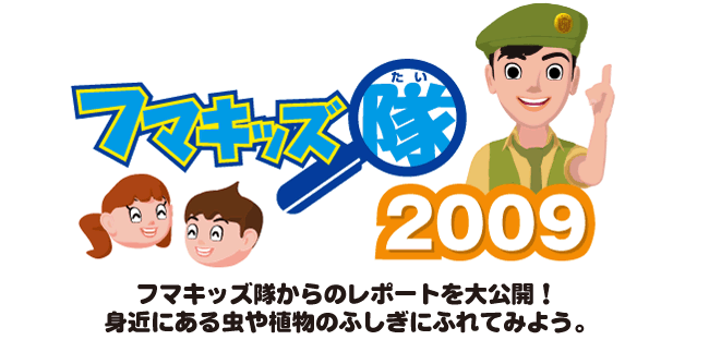 ���{�S���Ŋ������Ă���t�}�L�b�Y������̃��|�[�g�����J�B