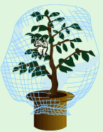 ͂A̖؂x_ɂāAŜ݂łāA̒ɂ͂ȂĂB