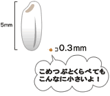CXgF0.3mm`0.5mm_j