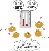 フマキッズこども研究所 虫の研究室 こん虫 がい虫なるほど情報室