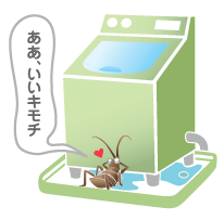 洗濯機の下のゴキブリ