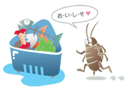 生ごみによろうとするゴキブリ