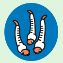 悤F^}S̉珬ȃ{[toĂB