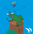 {Et̂̓g{AJGAAREȂǂ̃GTƂȂB