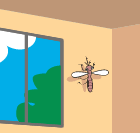 AJCGJ͂̂܂ܐlƂƂ̃JxɂƂ܂ċxB