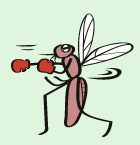 {NVO̐EɂApijŁuJvӖuXL[gvƂKB