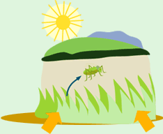 ނ炩ǂĂ悤ɂđ̂Ȃ܂ŏoĂ܂